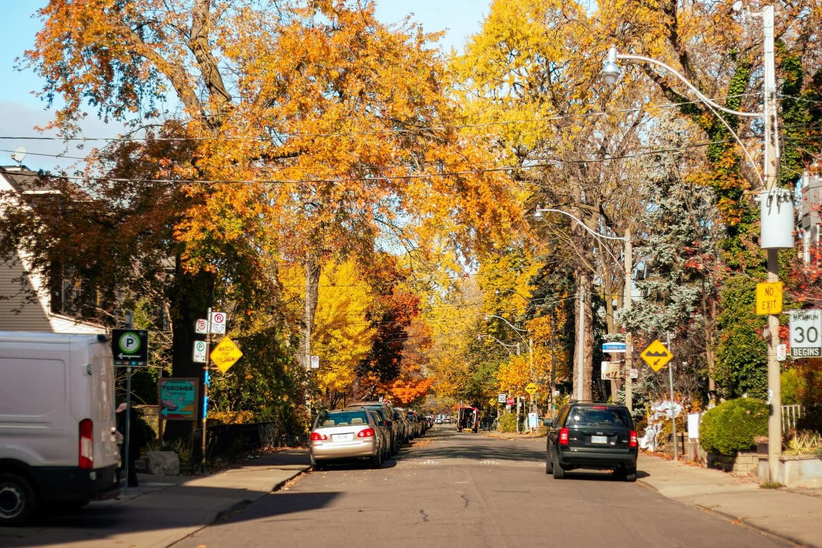 Tree-lined residential street in autumn